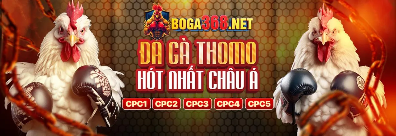 Đá gà trực tuyến mb6617